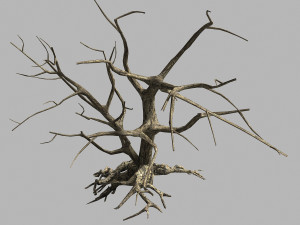 roadside-dead tree 07 3D 모델