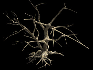 roadside-dead tree 07 Modèle 3D