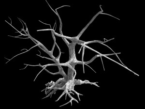 roadside-dead tree 07 Modèle 3D