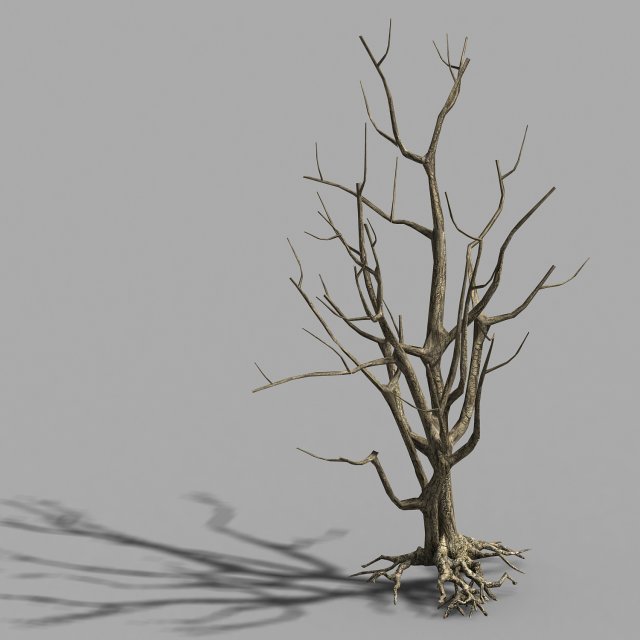 roadside-dead tree 08 3D Model .c4d .max .obj .3ds .fbx .stl .blend 