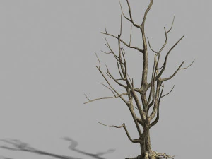 &aacute;rvore morta na estrada 08 Modelo 3D