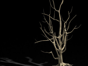 roadside-dead tree 08 3D Model