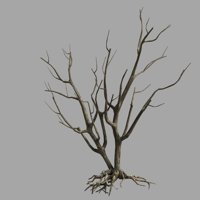 roadside-dead tree 09 3D 模型 .c4d .max .obj .3ds .fbx .stl .blend 