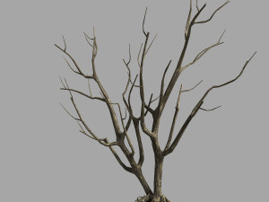 roadside-dead tree 09 3Dモデル