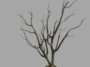 roadside-dead tree 09 3D Model