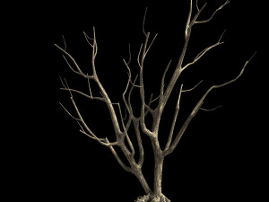 roadside-dead tree 09 3D 模型
