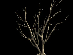 roadside-dead tree 09 3D Model