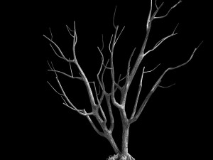 roadside-dead tree 09 3D 模型