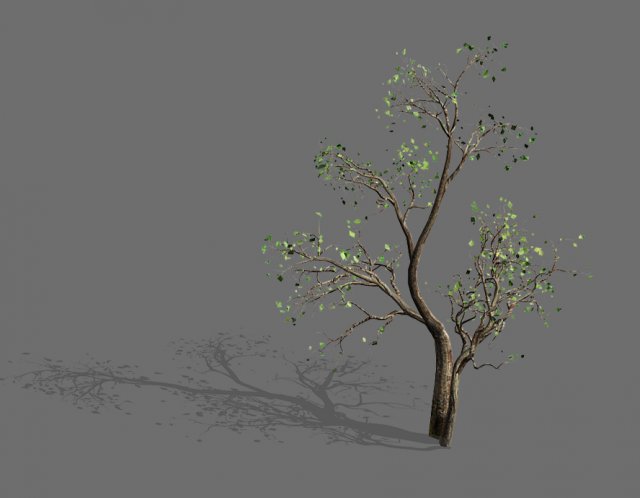 green plants-landscape-small tree 52 Modelo 3D .c4d .max .obj .3ds .fbx .stl .blend 