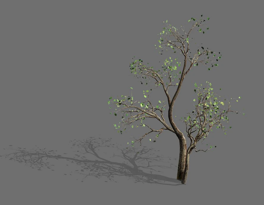 green plants-landscape-small tree 52 3D Model .c4d .max .obj .3ds .fbx .stl .blend