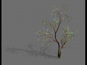 green plants-landscape-small tree 52 3D मॉडल