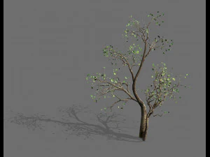 plantas verdes-paisagem-pequena &aacute;rvore 52 Modelo 3D
