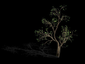 green plants-landscape-small tree 52 Modelo 3D