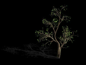 green plants-landscape-small tree 52 3D Model