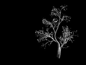 green plants-landscape-small tree 52 3D Model