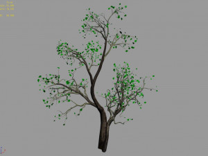 green plants-landscape-small tree 52 Modelo 3D