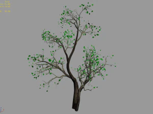 green plants-landscape-small tree 52 3D Model
