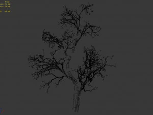 green plants-landscape-small tree 52 3D Model