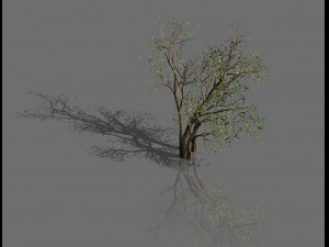 green plants-landscape-small tree 53 3D Model