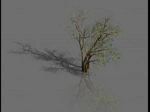 yeşil bitkiler-manzara-k&uuml;&ccedil;&uuml;k ağa&ccedil; 53 3D Model