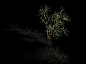 green plants-landscape-small tree 53 3D Model
