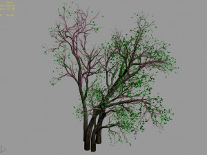 green plants-landscape-small tree 53 3D Model