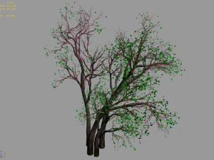 green plants-landscape-small tree 53 3D Model