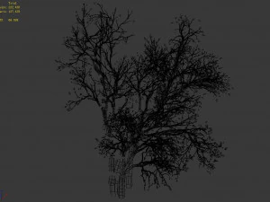 green plants-landscape-small tree 53 3D Model