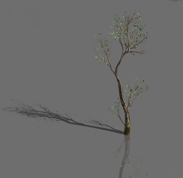 green plants-landscape-small tree 54 3D Modell .c4d .max .obj .3ds .fbx .stl .blend