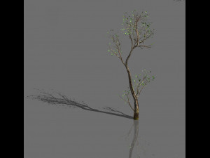 green plants-landscape-small tree 54 3D Model
