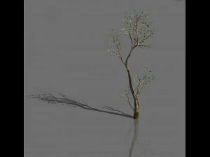 緑の植物-風景-小さな木 54 3Dモデル