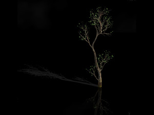 green plants-landscape-small tree 54 3D Modell