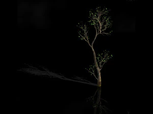 green plants-landscape-small tree 54 3D Model