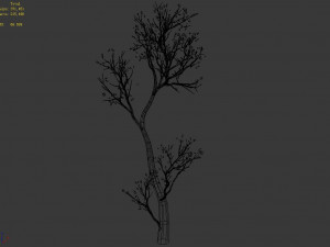 green plants-landscape-small tree 54 3D Modell