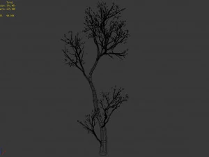 green plants-landscape-small tree 54 3D Model