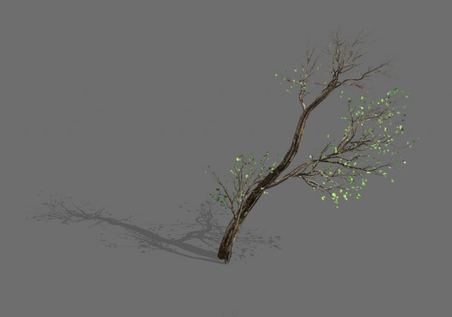 green plants-landscape-small tree 56 Modèle 3D .c4d .max .obj .3ds .fbx .stl .blend 