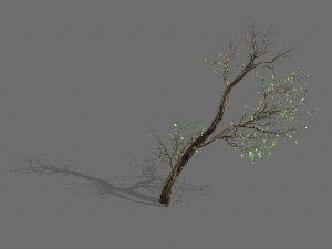 green plants-landscape-small tree 56 Modelo 3D