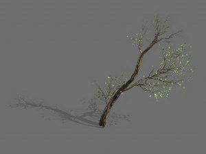 plantas verdes-paisagem-pequena &aacute;rvore 56 Modelo 3D