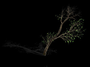 green plants-landscape-small tree 56 Modèle 3D