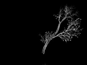 green plants-landscape-small tree 56 Modèle 3D