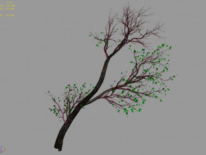 green plants-landscape-small tree 56 Modèle 3D