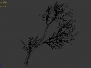 green plants-landscape-small tree 56 Modèle 3D