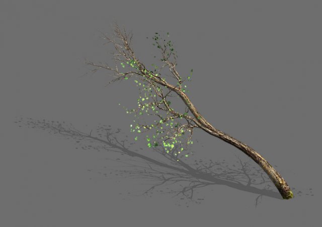 green plants-landscape-small tree 57 Modelo 3D .c4d .max .obj .3ds .fbx .stl .blend 