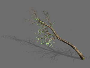 green plants-landscape-small tree 57 3Dモデル