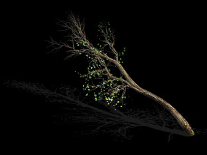 green plants-landscape-small tree 57 Modelo 3D