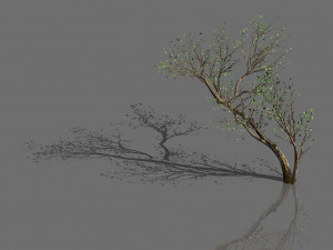 green plants-landscape-small tree 58 Modelo 3D