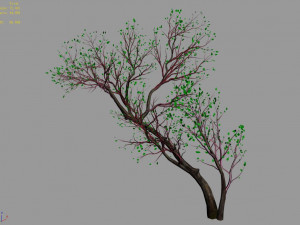 green plants-landscape-small tree 58 Modèle 3D