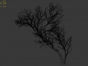 green plants-landscape-small tree 58 Modèle 3D