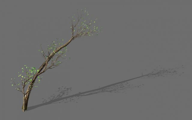green plants-landscape-small tree 59 3D 模型 .c4d .max .obj .3ds .fbx .stl .blend 