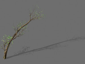 green plants-landscape-small tree 59 3Dモデル